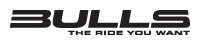 Team Bulls